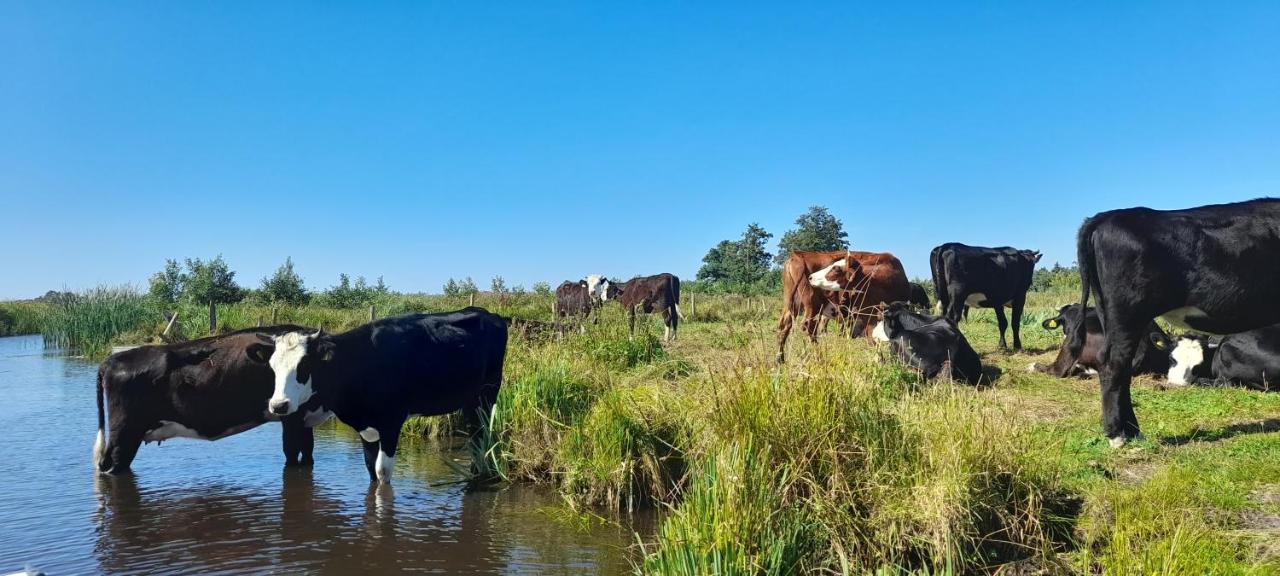 Huisje Beukers Giethoorn Kültér fotó