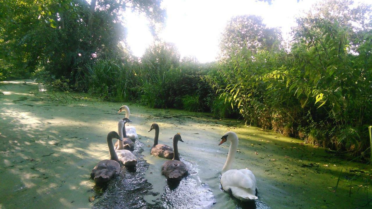 Huisje Beukers Giethoorn Kültér fotó